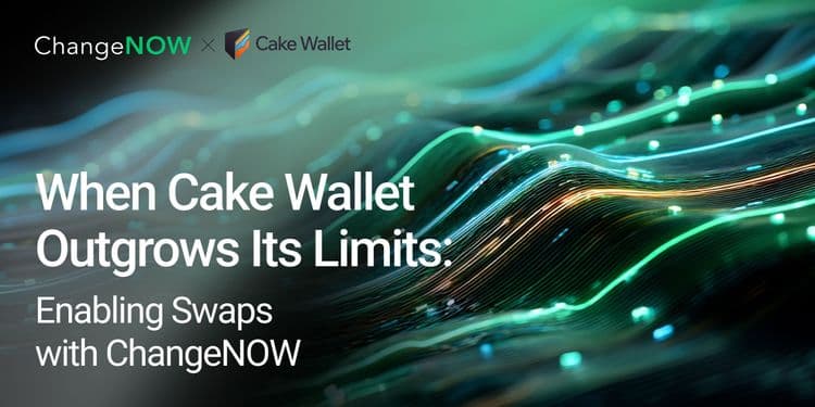 Cake Wallet Case Study
