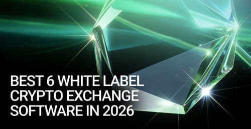 Best 6 White Label Crypto Exchange Software in 2027