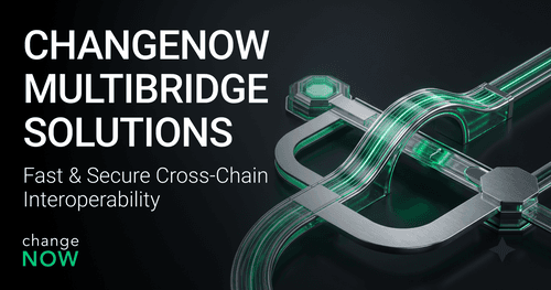 ChangeNOW Multibridge solutions.png
